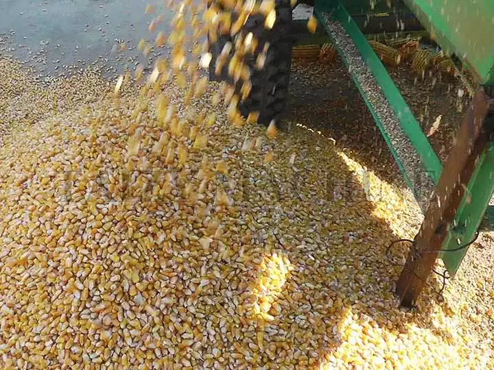 final product of automatic corn sheller machine