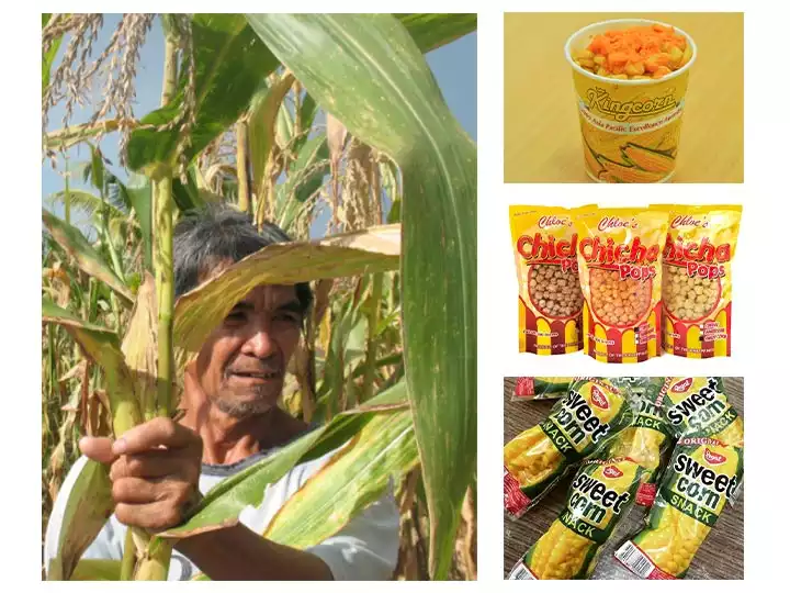 corn philliphines